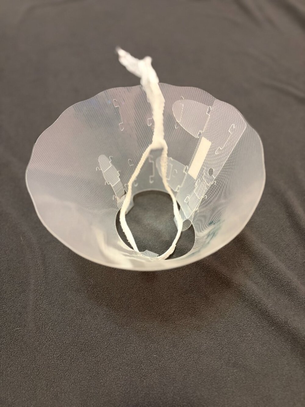 cat cone